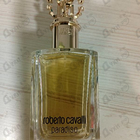 Парфюм Roberto Cavalli Paradiso