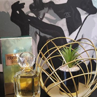 Отзыв Roberto Cavalli Paradiso