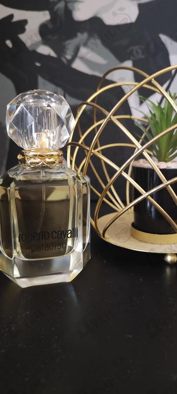 Купить Roberto Cavalli Paradiso Духи Paradiso от Roberto Cavalli