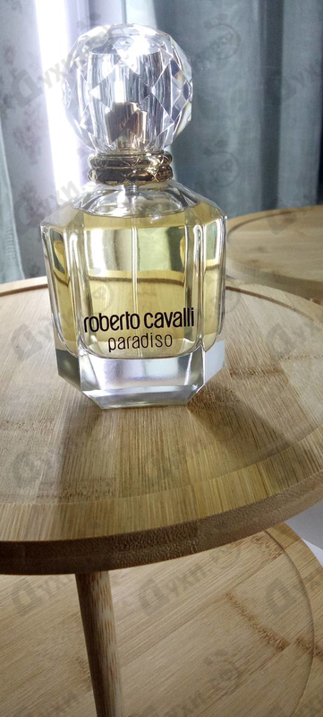 Отзывы Roberto Cavalli Paradiso