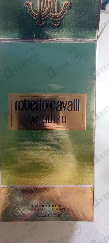 Купить Paradiso от Roberto Cavalli