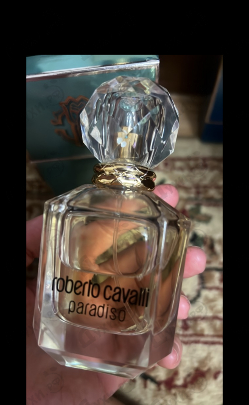 Парфюмерия Paradiso от Roberto Cavalli