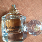 Отзыв Roberto Cavalli Paradiso