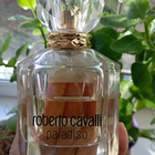 Отзывы Roberto Cavalli Paradiso
