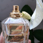 Отзыв Roberto Cavalli Paradiso