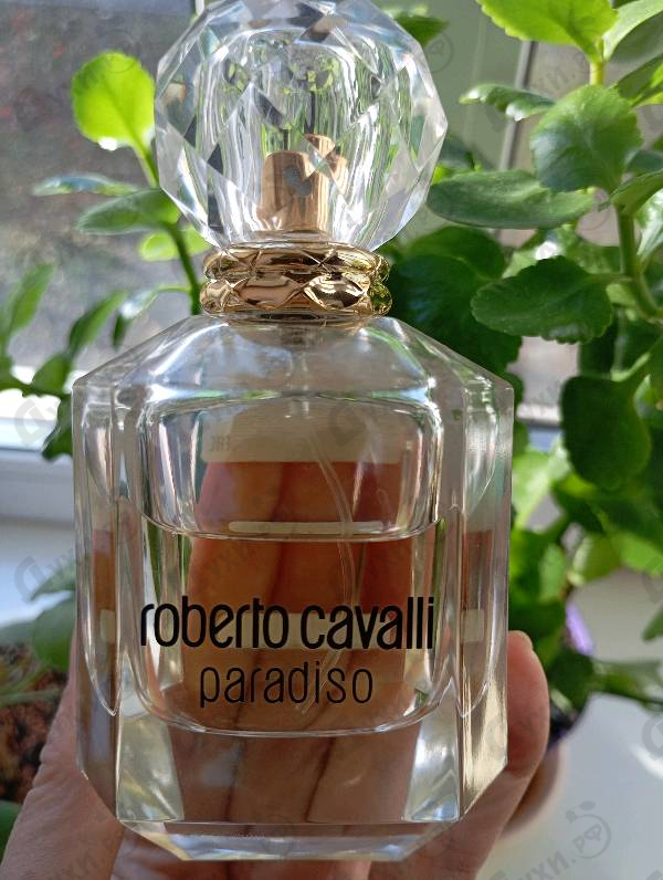 Купить Roberto Cavalli Paradiso