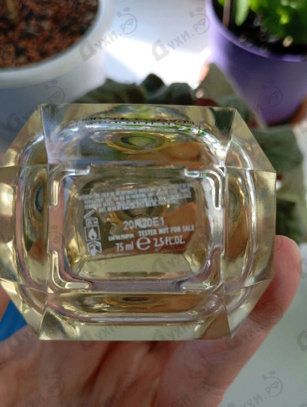 Парфюмерия Paradiso от Roberto Cavalli