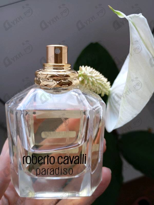 Парфюмерия Paradiso от Roberto Cavalli