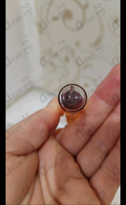 Парфюмерия Black Opium от Yves Saint Laurent