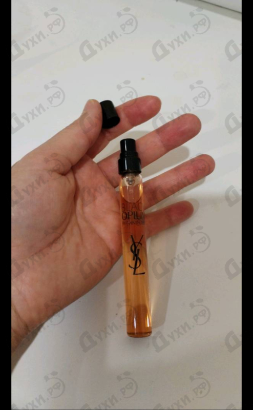 Отзывы Yves Saint Laurent Black Opium