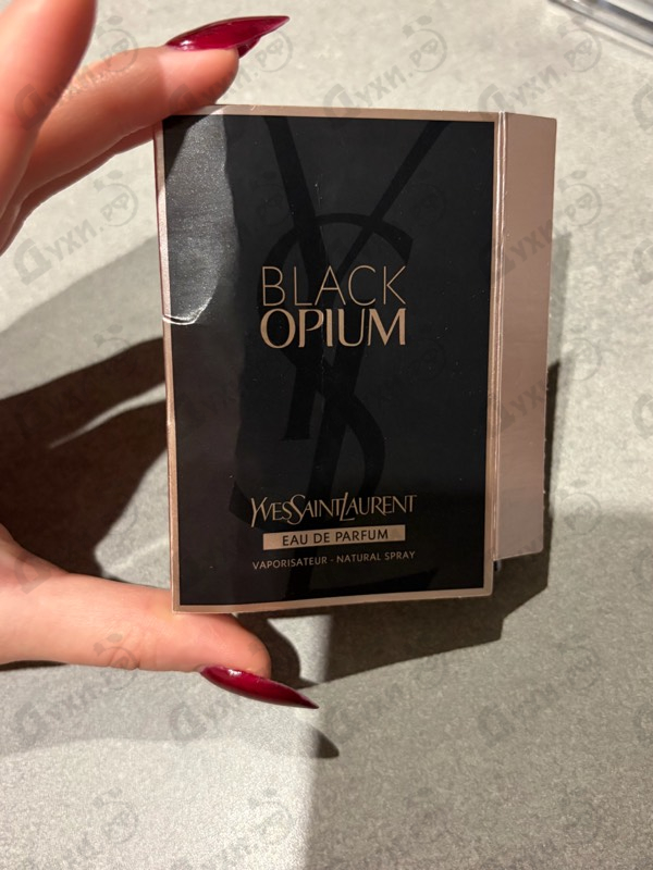 Парфюмерия Yves Saint Laurent Black Opium