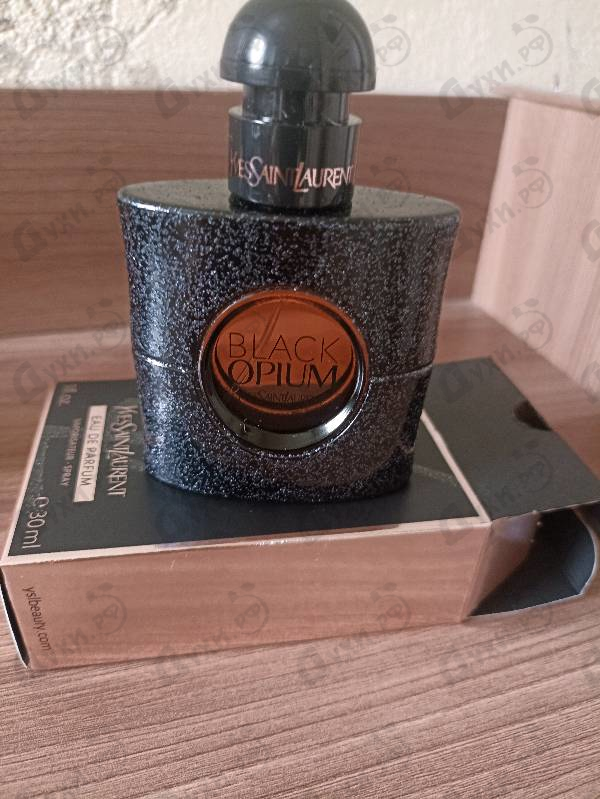 Парфюмерия Yves Saint Laurent Black Opium