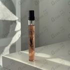 Отзыв Yves Saint Laurent Black Opium