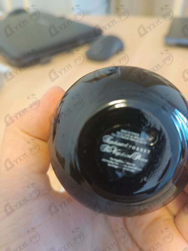 Отзыв The Vagabond Prince Enchanted Forest