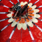 Отзыв Lancome La Nuit Tresor