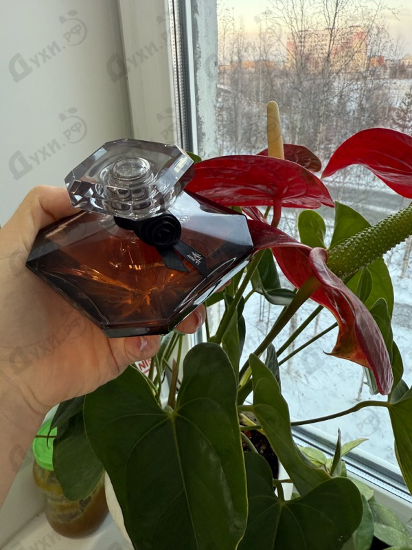 Парфюмерия La Nuit Tresor от Lancome