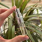 Духи La Nuit Tresor от Lancome