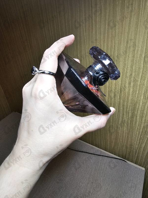 Купить La Nuit Tresor от Lancome