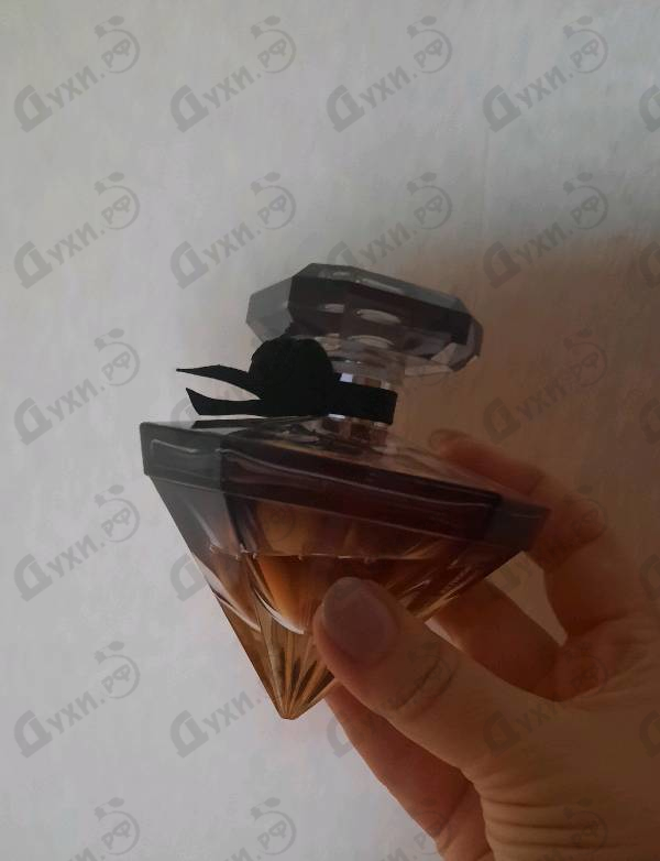 Духи La Nuit Tresor от Lancome