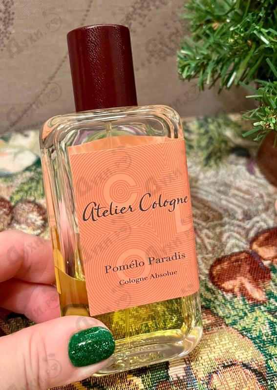 Купить Pomelo Paradis от Atelier Cologne