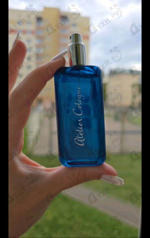 Купить Atelier Cologne Sud Magnolia