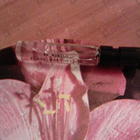 Парфюм Ex Nihilo Fleur Narcotique