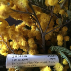 Отзывы Ex Nihilo Fleur Narcotique