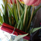 Отзыв Ex Nihilo Fleur Narcotique