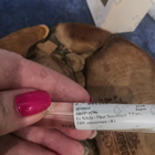 Отзывы Ex Nihilo Fleur Narcotique