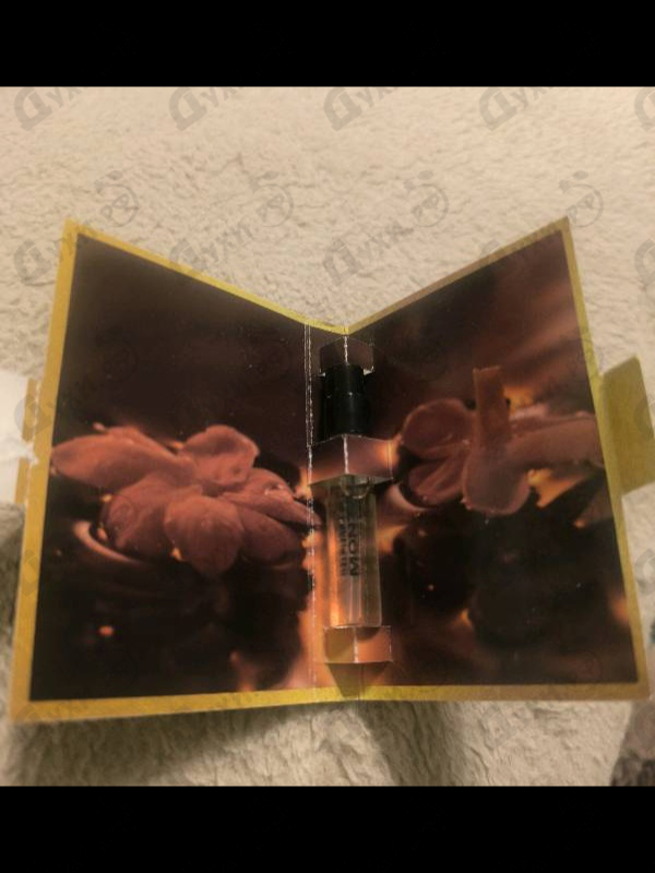 Купить Intense Pepper от Montale