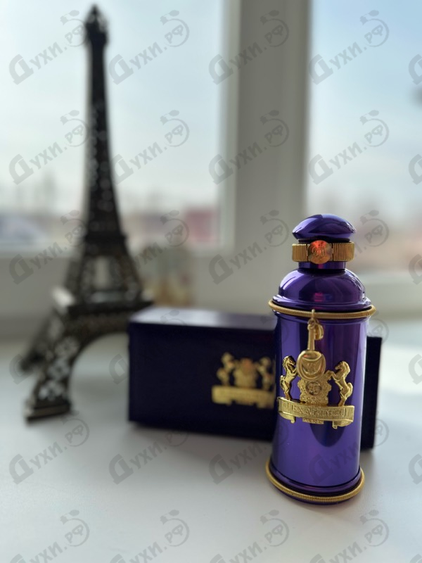 Купить Iris Violet от Alexandre J