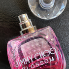 Отзывы Jimmy Choo Blossom