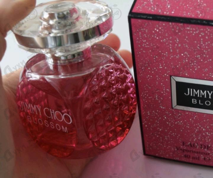 Духи Blossom от Jimmy Choo