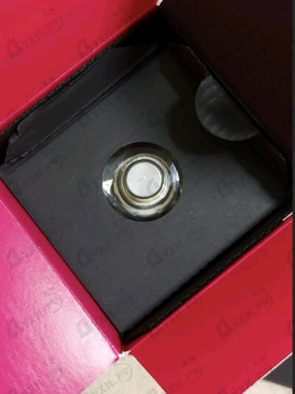 Отзыв Jimmy Choo Blossom