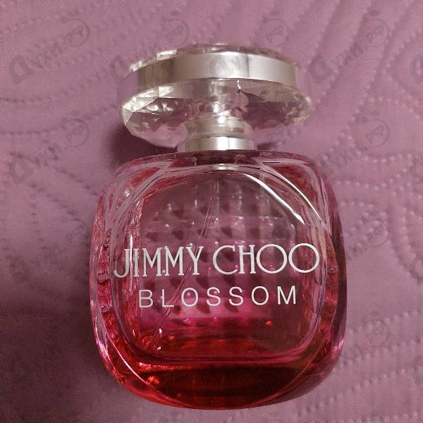 Парфюмерия Jimmy Choo Blossom Купить Blossom от Jimmy Choo
