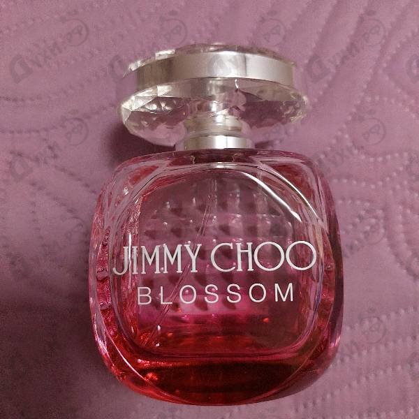 Купить Blossom от Jimmy Choo