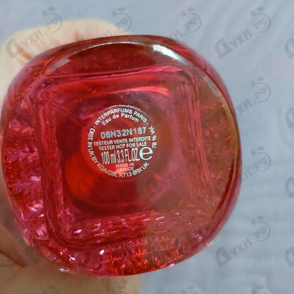 Парфюм Jimmy Choo Blossom Духи Blossom от Jimmy Choo