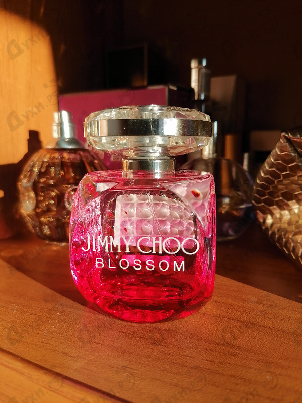 Парфюмерия Blossom от Jimmy Choo Купить Jimmy Choo Blossom