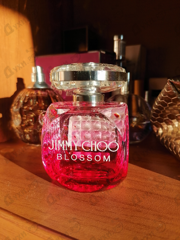 Купить Jimmy Choo Blossom