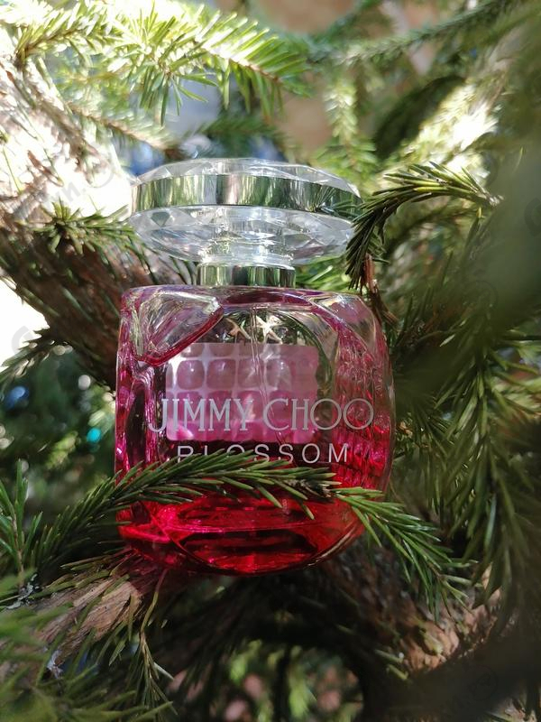 Парфюмерия Jimmy Choo Blossom Купить Blossom от Jimmy Choo