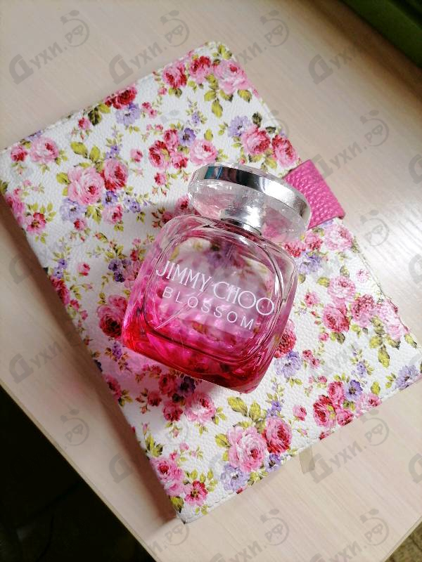 Парфюм Jimmy Choo Blossom Духи Blossom от Jimmy Choo