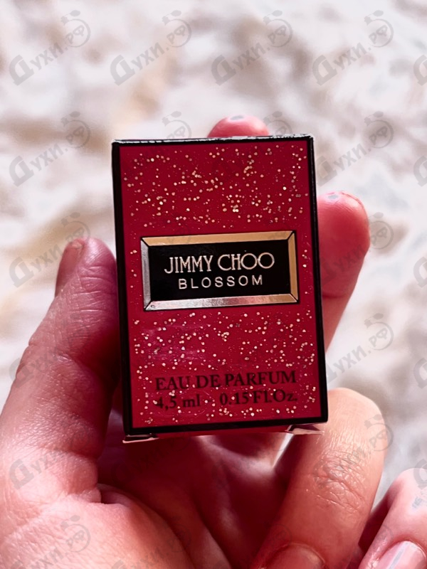Купить Blossom от Jimmy Choo