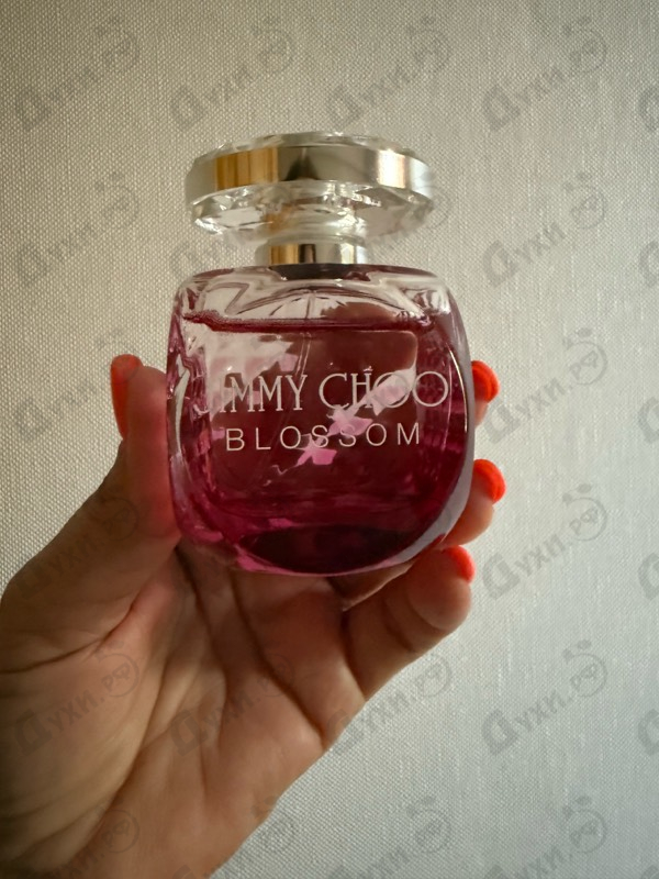 Купить Blossom от Jimmy Choo