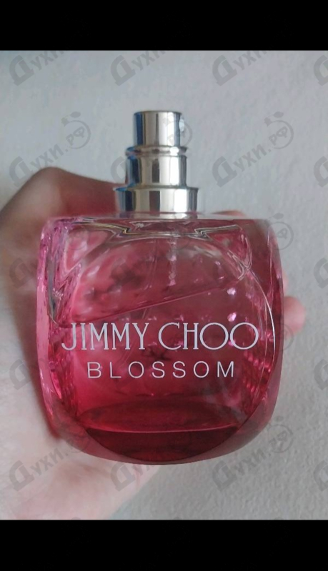 Купить Jimmy Choo Blossom