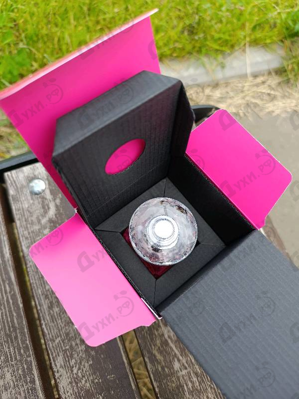 Купить Jimmy Choo Blossom