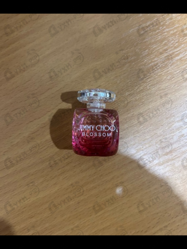 Купить Blossom от Jimmy Choo