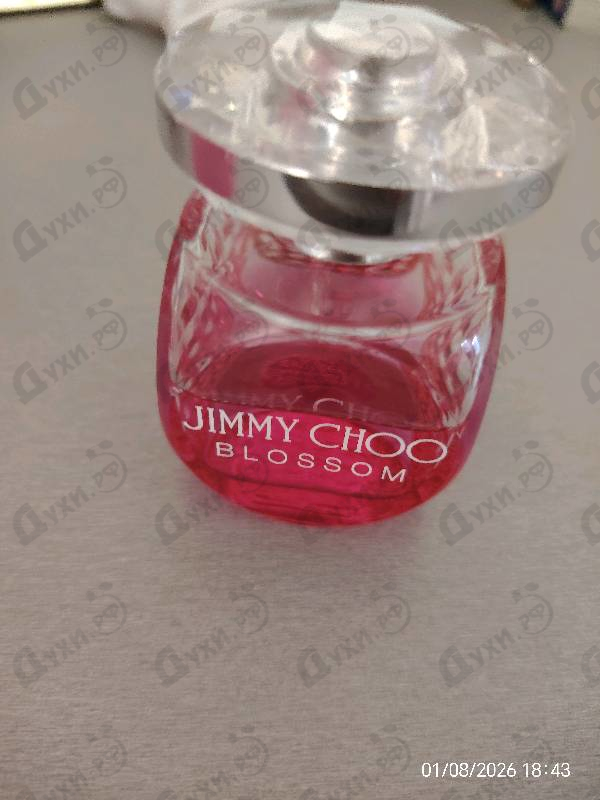 Отзывы Jimmy Choo Blossom