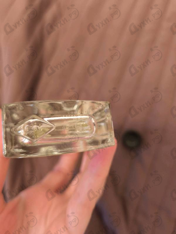 Купить Van Cleef & Arpels Collection Extraordinaire California Reverie