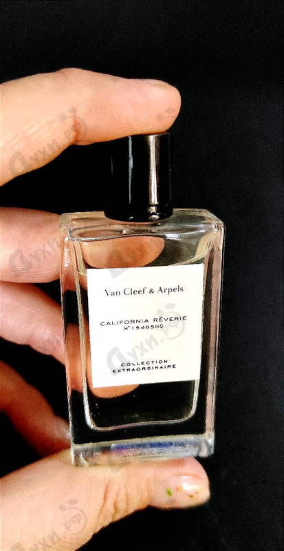 Купить Van Cleef & Arpels Collection Extraordinaire California Reverie