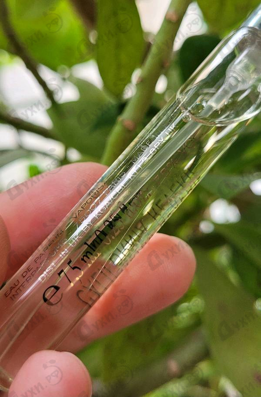 Отзывы Van Cleef & Arpels Collection Extraordinaire California Reverie